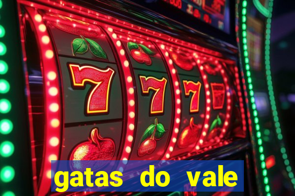 gatas do vale juazeiro ba